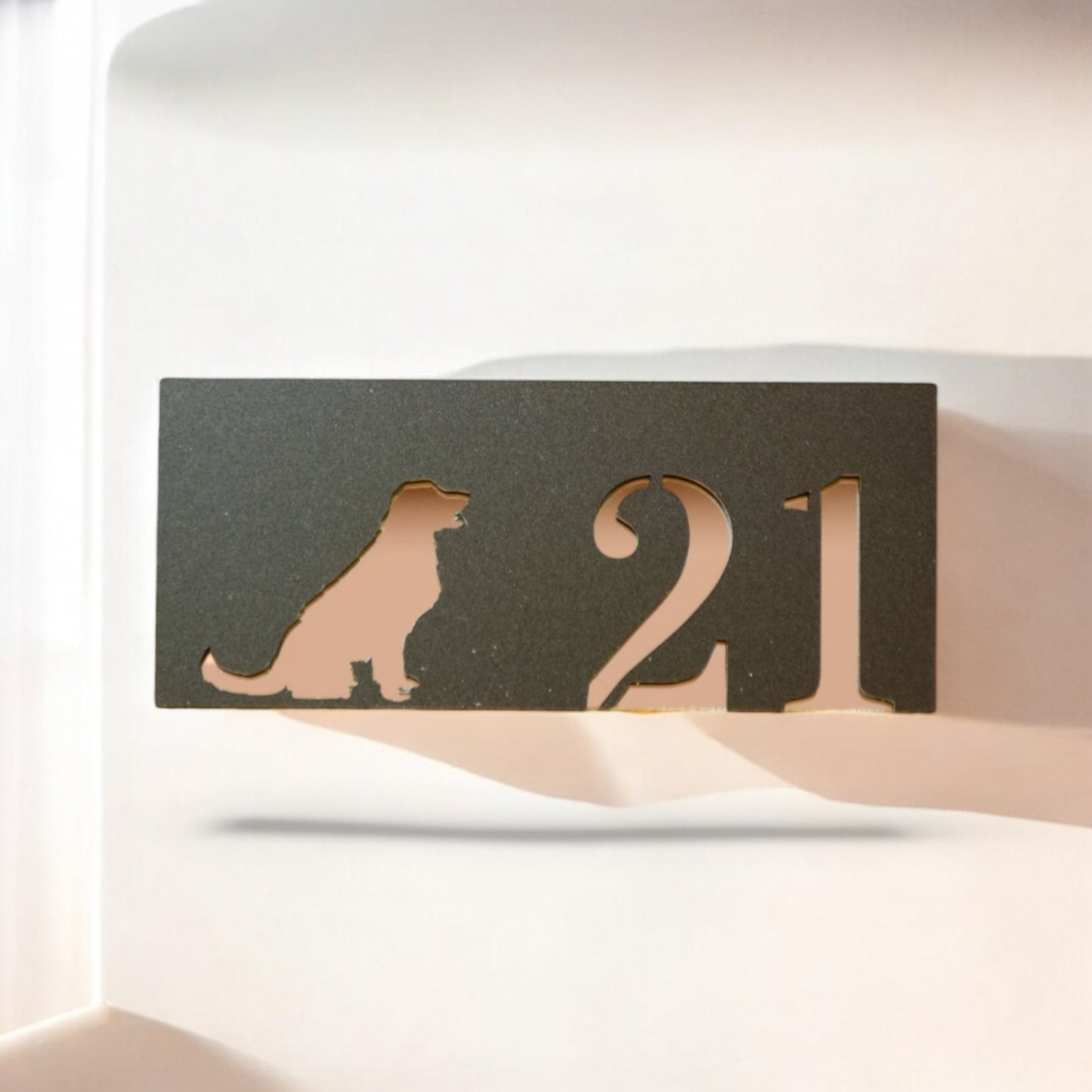 Număr Casă din Plexiglas Premium-Plăcuță Adresă în 7 Culori, Design Modern, Montaj Ușor